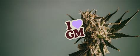 i love growing marijuana discount code|ILGM Discount Codes .